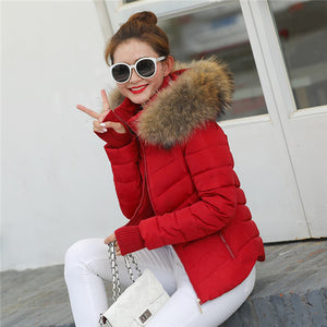 2019 New Winter Coat Women  Winter Jacket Womens